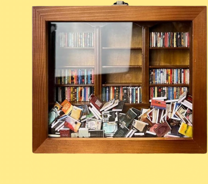 Anxiety Shake Away Bookshelf