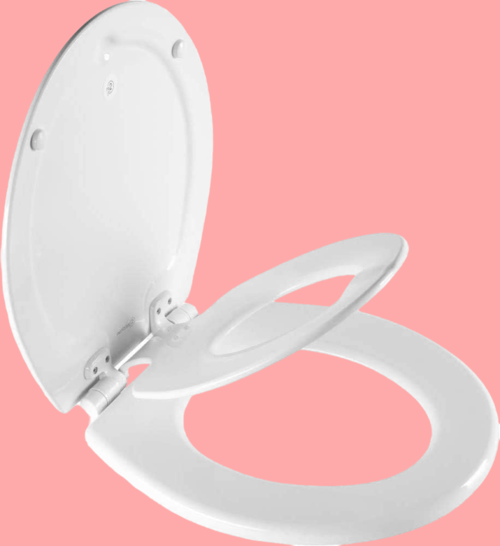 Toilet Seat with Built-In Potty Training Seat